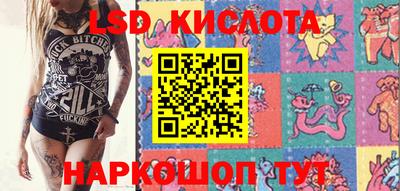 дживик Донской