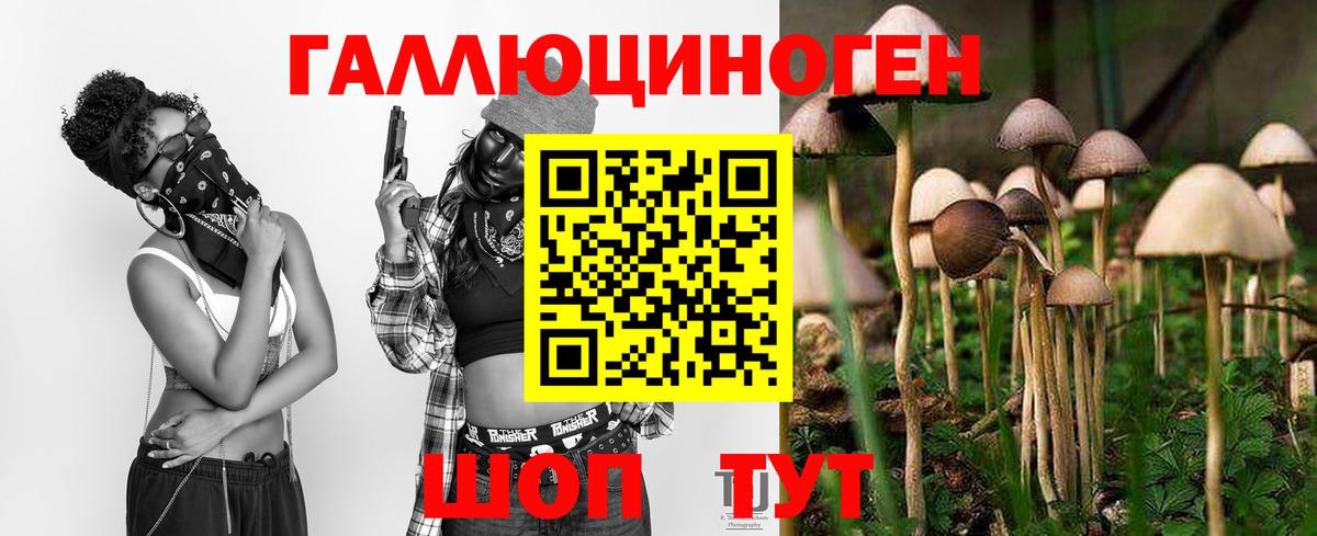Советский  Псилоцибиновые грибы мицелий  Вход с VPN 