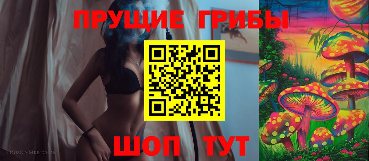 Псилоцибиновые грибы Cubensis Советский