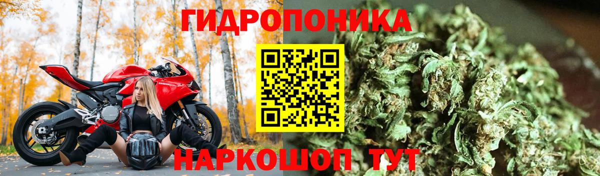 Шишки марихуана сатива Советский